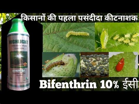 Isgro Highlight Insecticide Bifenthrin Ec Kitnashak Pesticides