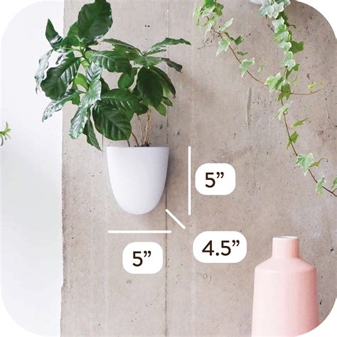 Make Good Virgo Self Watering Wall Planters Set Of Easy To Water