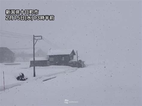 2日間の積雪は50cm以上 日本海側は雪崩や屋根からの落雪など注意 ウェザーニュース