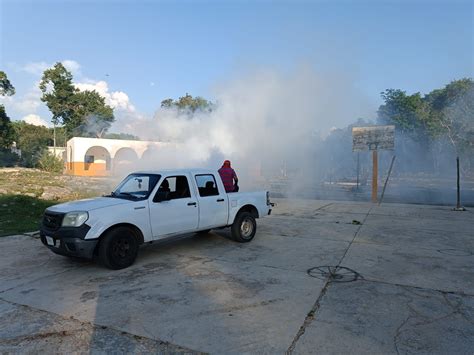 Refuerzan Acciones De Prevenci N Contra El Dengue Noticias De Yucat N