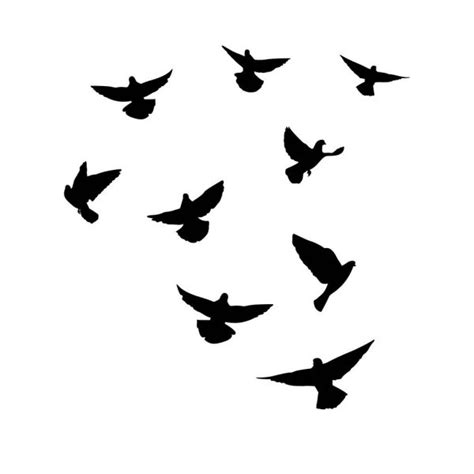 Flying bird tattoo | Vector silhouette flying birds on white background ...