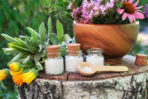 Bouteilles De Mortier En Bois De Globules Hom Opathiques Gu Rissant Les