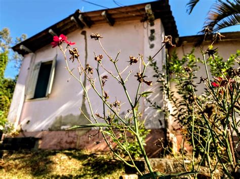 Trabalho Volunt Rio Casa De Caridade Santa Tereza