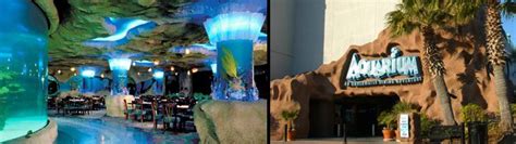 Aquarium Restaurant Kemah Tx Fun Places To Go Aquarium Places To Go