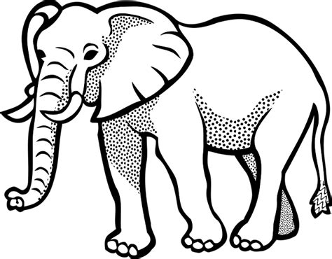 Desenhos De Elefante Para Colorir Curso Completo De Pedagogia