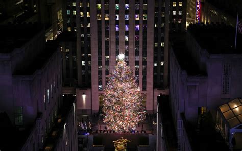 MEET THE 2023 80-FOOT-TALL ROCKEFELLER CENTER CHRISTMAS TREE - Z93