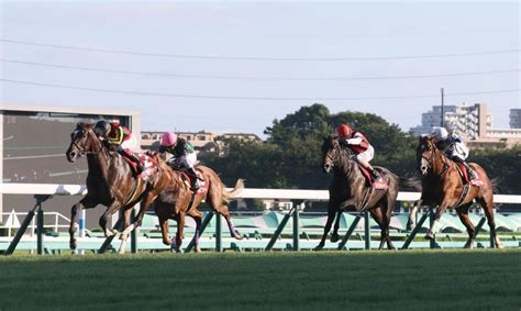 【オールカマー】5番人気ジェラルディーナが重賞初v デアリングタクトは6着競馬・レースデイリースポーツ Online