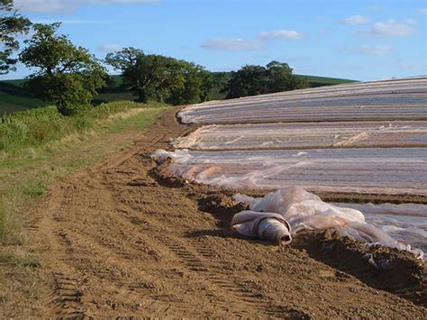 Sources Of Soil Pollution And Major Contaminants In Agricultural Areas