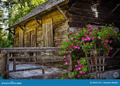 An Abandoned Wooden Cabin Inside The Forest Stock Photo Image Of