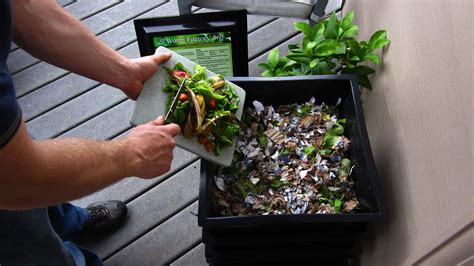 9 Items to NOT Feed your Compost Worms – Yardiac.com