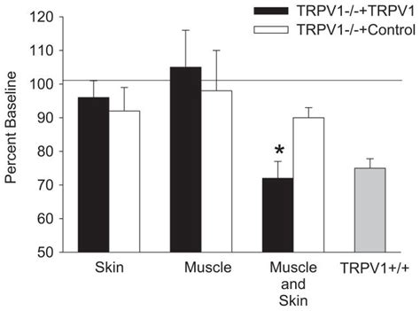 Trpv Is Important For Mechanical And Heat Sensitivity In Uninjured