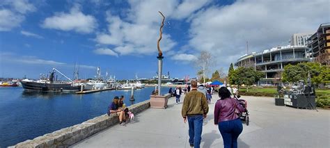 sights  scenes san diegos waterfront embarcadero