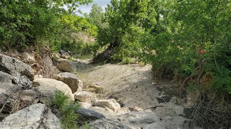 Getting to Eisenhower Park - Texas Trail Running