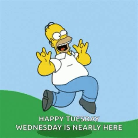 Happy Tuesday Funny GIFs | Tenor