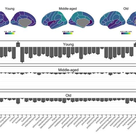 Inter-regional cortical thinning. Inter-regional patterns of cortical ...