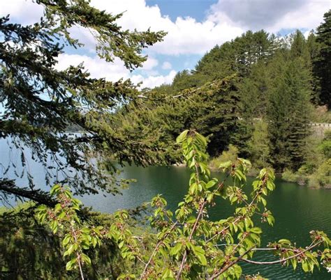 Lago Cecita Parco Nazionale Della Sila Camigliatello Silano Cs