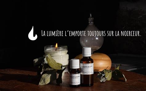 Huiles Essentielles Biologiques Et Diffuseurs Zayat Aroma