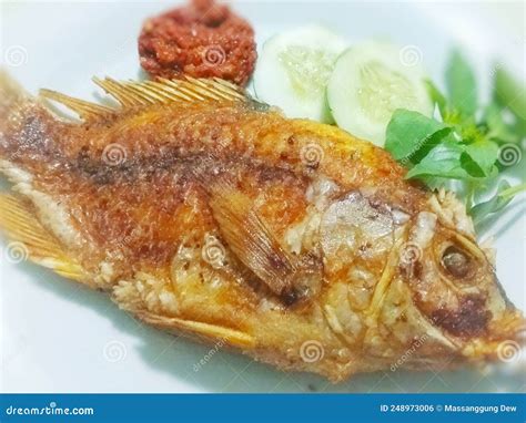 Fried Lutjanus Campechanus or "Ikan Kakap Goreng. Served on White Plate with Sambal (chilli ...