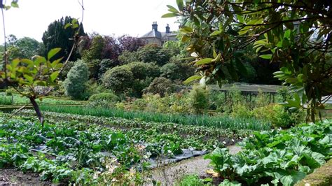 Vegetable Garden At Ardmaddy Castle © Gordon Brown Geograph Britain