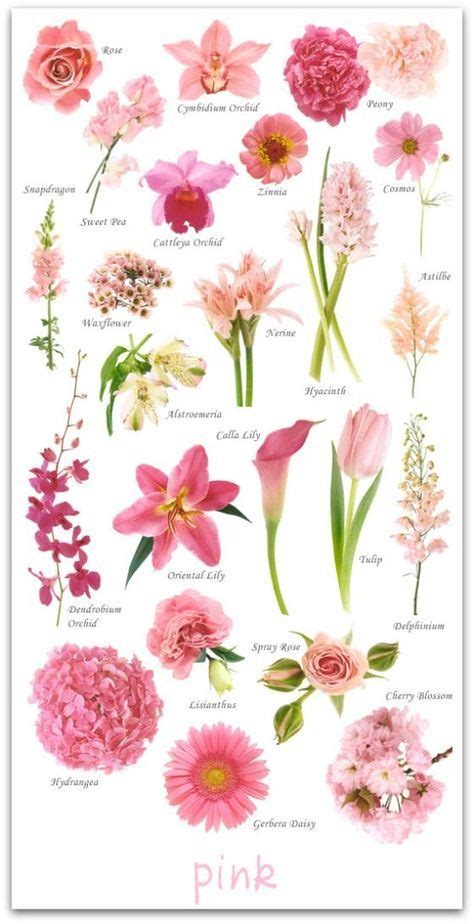 7 Flowers by Color ideas in 2020 | flowers, flower names, types of flowers