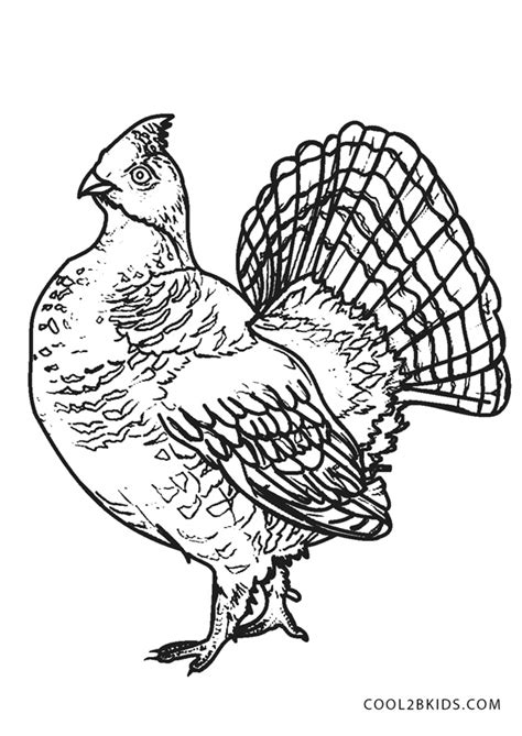 Grouse Pennsylvania State Drawing Clipart Bird Ruffed Coloring Outline