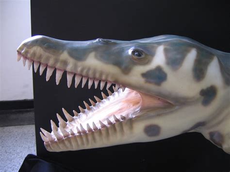 Pliosaur sculpture 2 by jwmorenob on DeviantArt