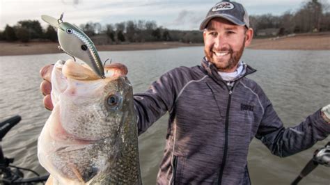 5 Crankbait Tips To Catch More Prespawn Bass Wired2fish