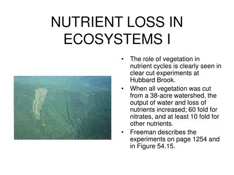 Ppt Nutrient Cycles Powerpoint Presentation Free Download Id 217294