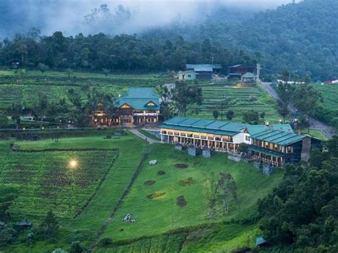 Thiết kế Farmstay
