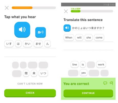 Duolingo Japanese Review Pros Cons Alternatives