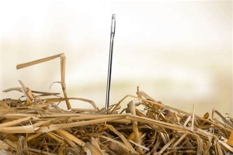 Best Needle And Thread Grass Stock Photos, Pictures & Royalty-Free ...