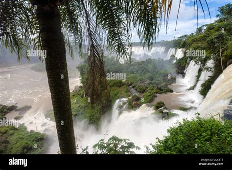 Parque Nacional Do Iguazu Argentina Fotos Und Bildmaterial In Hoher