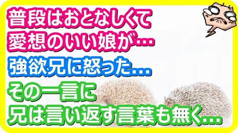 【スカッとする話】普段はおとなしくて愛想のいい娘が、強欲兄に怒り、その一言に兄は言い返す言葉も見当たらなかった模様。 Youtube