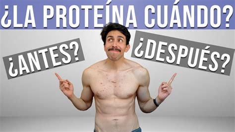 PROTEÍNA ANTES de ENTRENAR O DESPUÉS de ENTRENAR YouTube