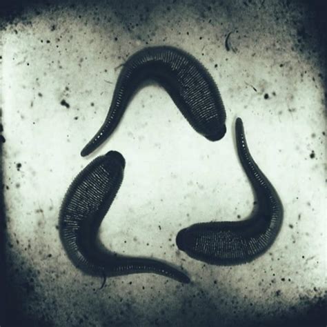 Enola Gay NI Leeches Lyrics Genius Lyrics