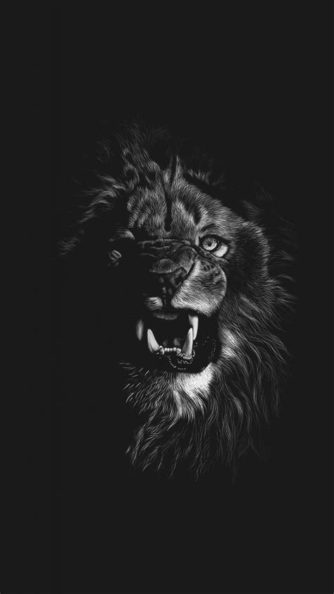 Lion Angry Wallpaper