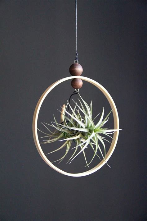 Hanging Rustic Air Plant Holder With Handmade Wood Indoor Plant Hanger