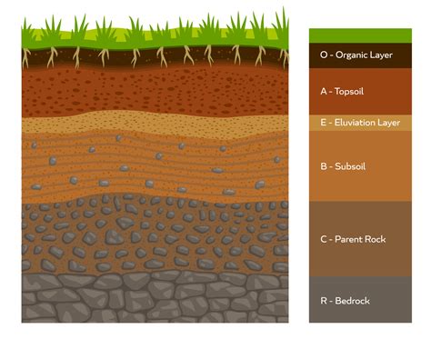 infografía de la capa del suelo formación geológica de la tierra