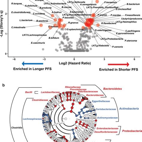 Mapping Of Combined 16S RRNA Gene Amplicon Sequencing Data From