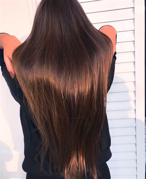 Hair Long Hair Styles Beauty Porn Hairstyles Truth Hair Frases