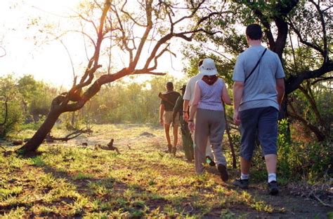 Kruger Sunrise Walking Safari Bush Walk South Africa Hotspots2c