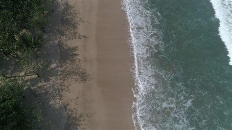 beach drone view beacheye bird view  stock video  vecteezy