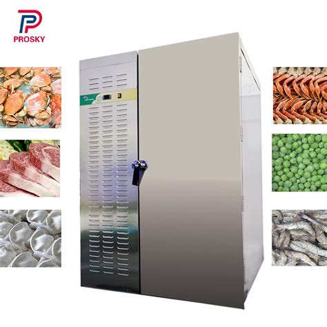 Roll In Italian Blast Chiller Deli From China Manufacturer Prosky