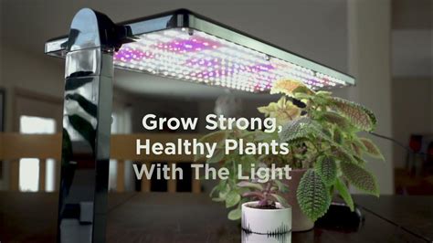 Aerogarden 45 Watt Led Grow Light Panel Youtube