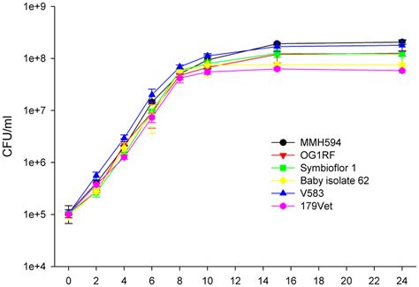 Growth Of E Faecalis In Urine Characterization Of Growth Of E