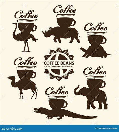 Coffee Beans From Different Countries at Marion Akers blog