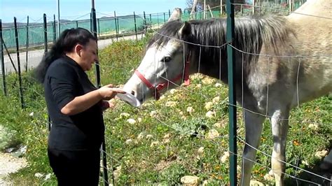 Rosy Invita Il Cavallo Gino A Pranzo Youtube