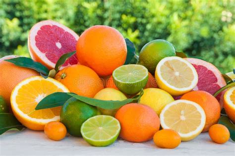 Fresh Citrus Fruits Orange Lemon Grapefruit Mandarin Lime With