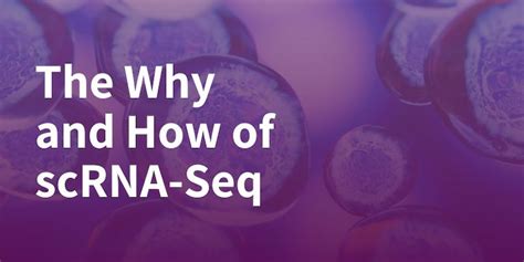 The Why And How Of ScRNA Seq A Guide For Beginners Parse Biosciences