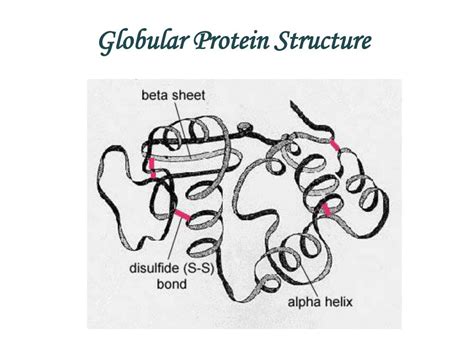 advancing theoretical  computational research  polymer